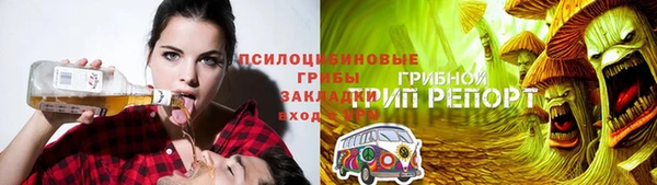 таблы Алексин