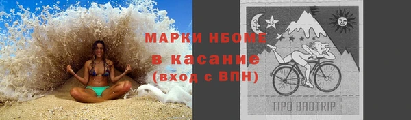 прущие грибы Алексеевка