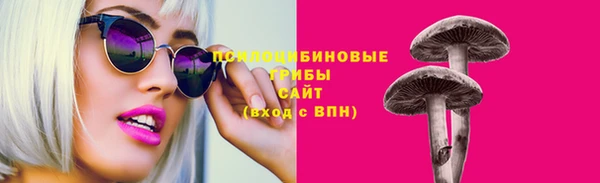 прущие грибы Алексеевка