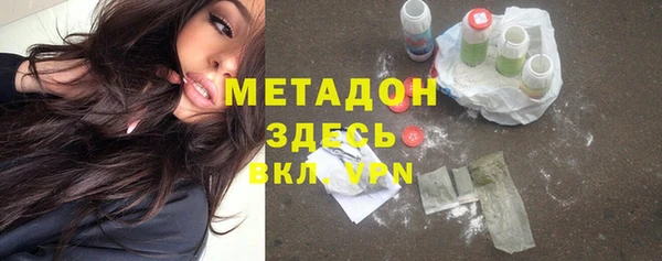 прущие грибы Алексеевка