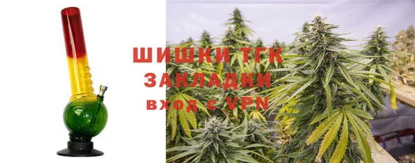 2c-b Алзамай