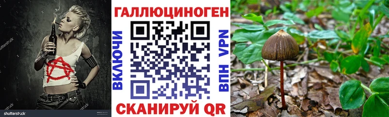 Галлюциногенные грибы мицелий  Нытва 